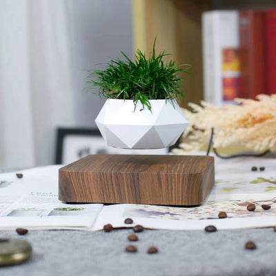 Air Bonsai The Floating Bonsai Levitating Plant Pot