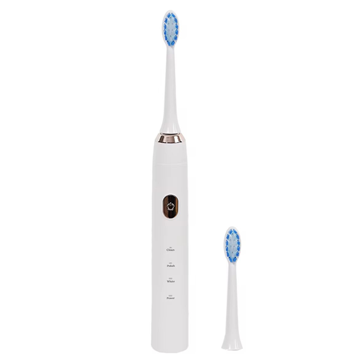 Portable Whitening Electric Toothbrush & Water Flosser Set